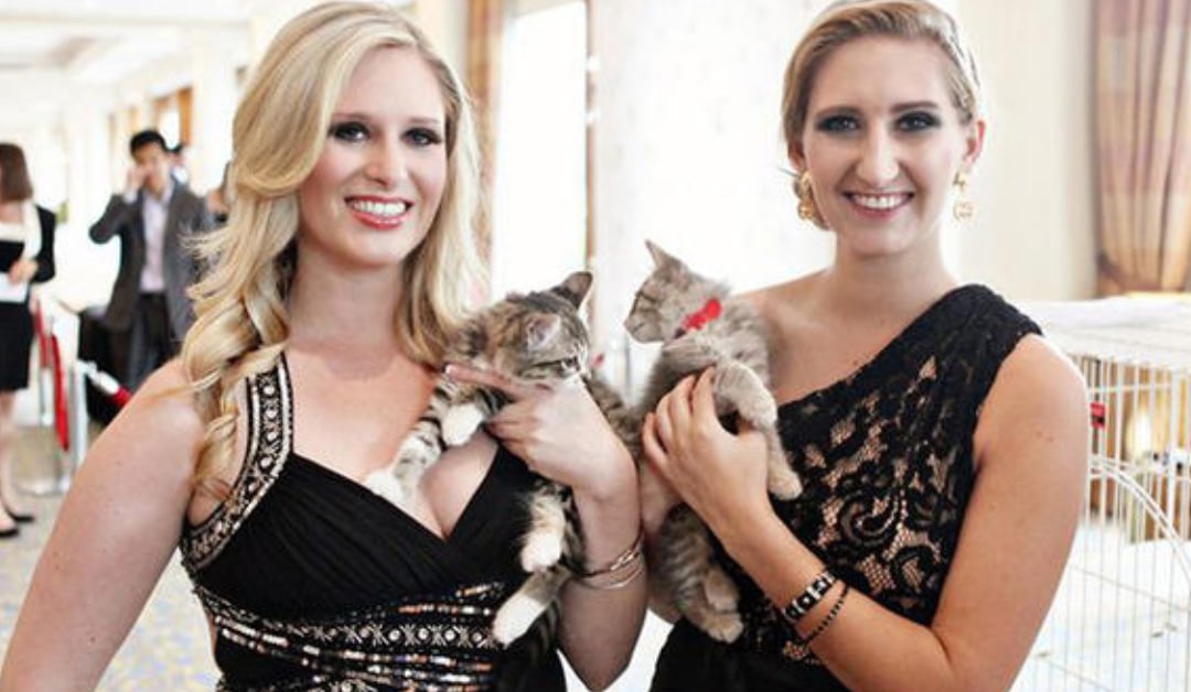 2015 Tuxes & Tails Humane Society of Tampa Bay Dennis Hernandez